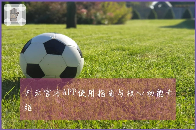 开云官方APP使用指南与核心功能介绍