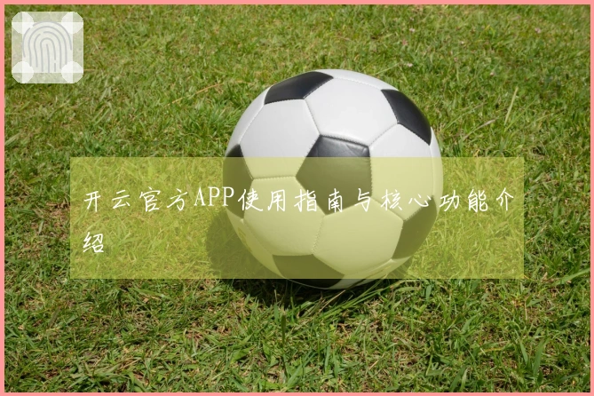 开云官方APP使用指南与核心功能介绍